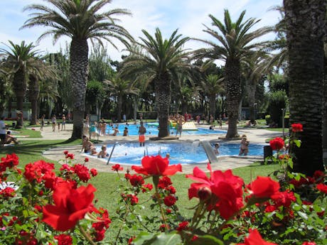 zwembad met palmbomen camping Valldaro