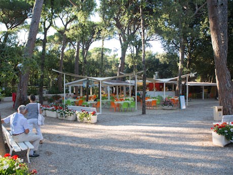 Terras camping International Etruria