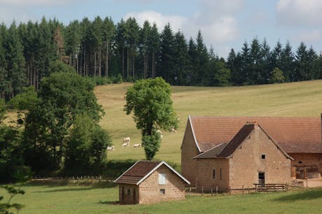 omgeving camping Château de Montrouant