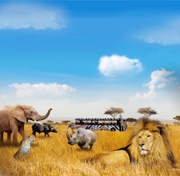 Safaricamp De Beekse Bergen dieren