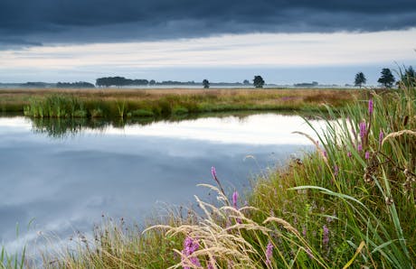 Landschap in Drenthe
