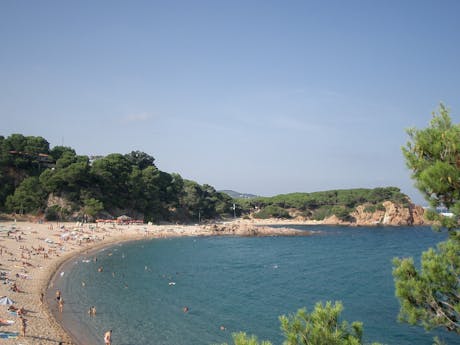 Camping El Delfin Verde Playa D'Aro - strand