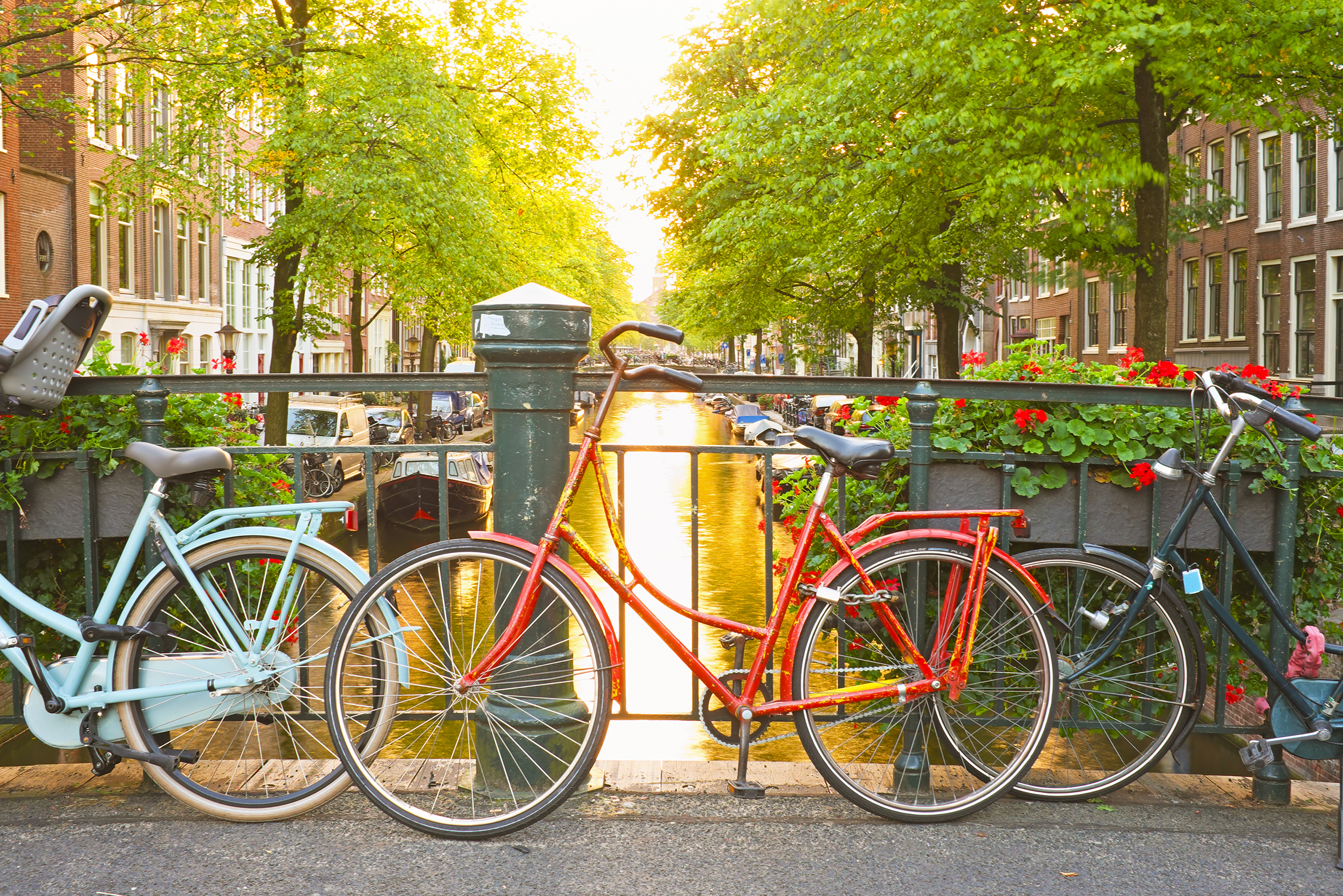 Fietsvakanties In Nederland | ViaLora