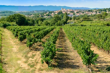 Beziers en wijngaarden