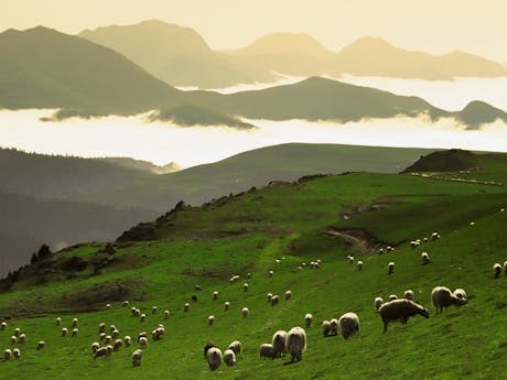 midi pyreneen