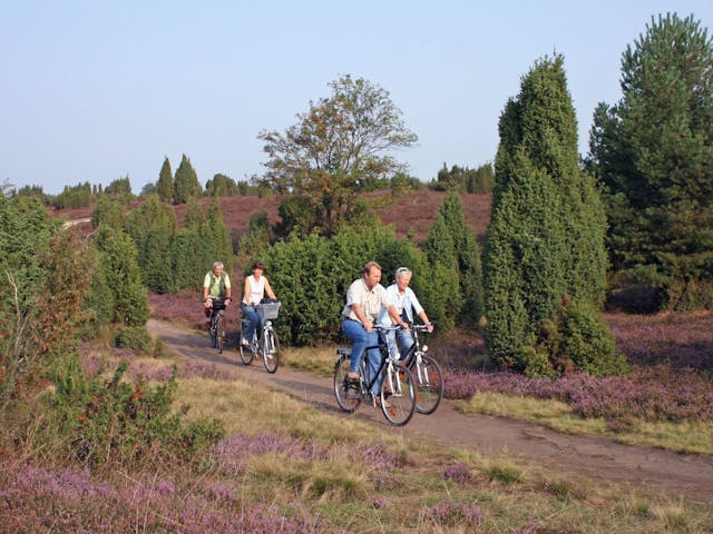 5-daagse fietsvakantie Luneburger Heide