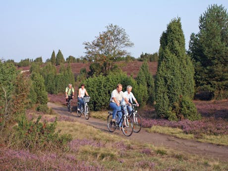 5-daagse fietsvakantie Luneburger Heide