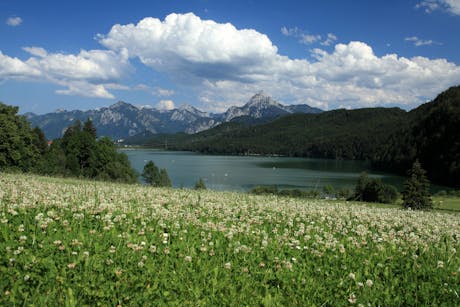 8-daagse fietsvakantie Allgäu Fietsroute