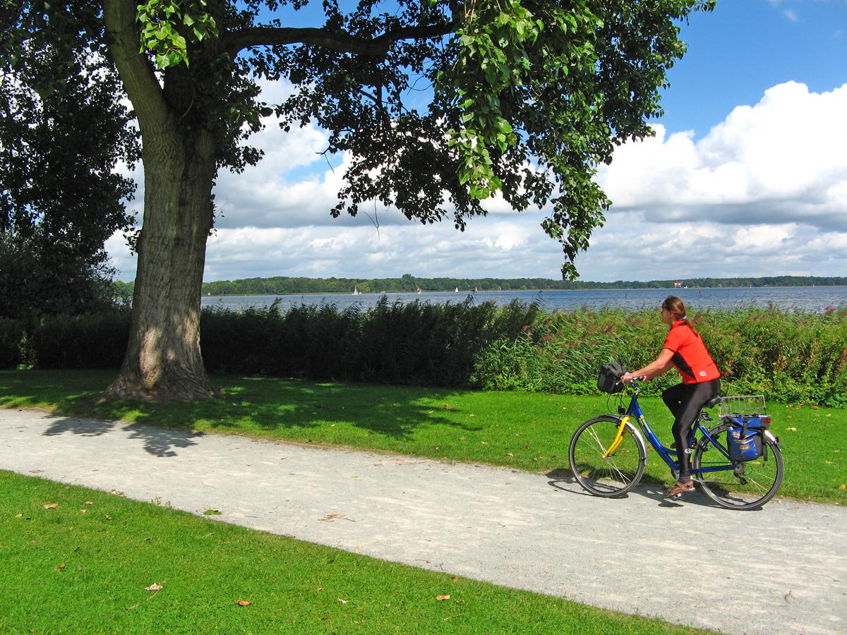 Fietsvakanties In Nederland | ViaLora