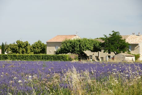 fietsvakantie provence omgeving