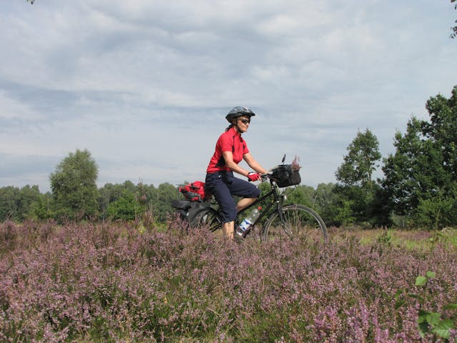 fietsvakanties luneburger - heide