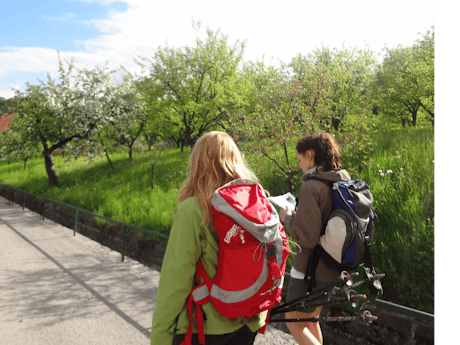 8-daagse wandelvakantie Wachauer