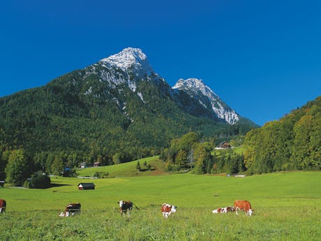 Landschap - Oostenrijk