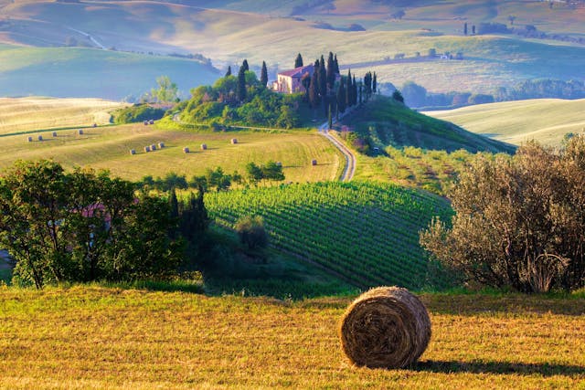 Toscane