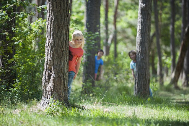 Vakantiepark Roompot de Katjeskelder
