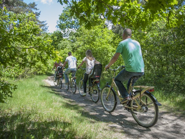 Fietsen De Katjeskelder
