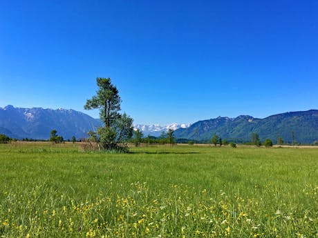 München merengebied Murnauer moos