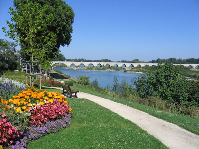 Loire à Vélo bloemen aan oever