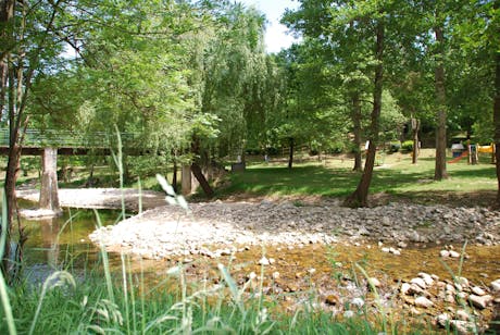 Camping L'Oasis omgeving Oberbronn