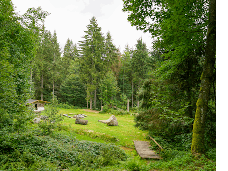 Camping Lackenhäuser woud