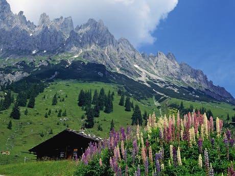 Berghut Alpe Adria