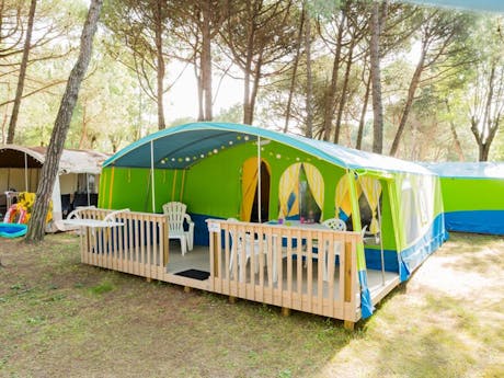 Lodgetent Forest