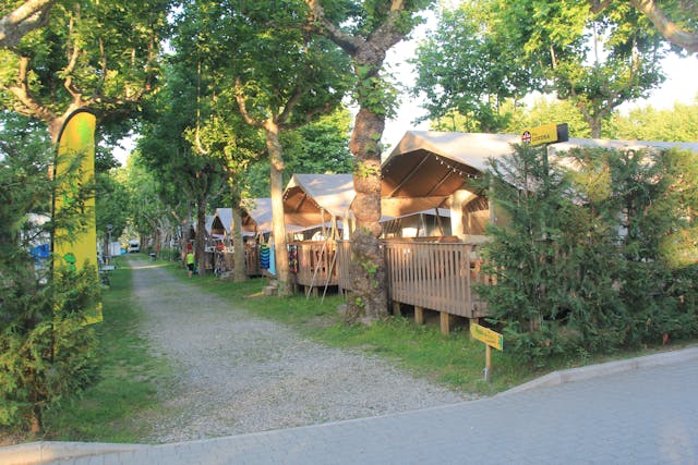 Safaritenten Olive camping Lago Maggiore