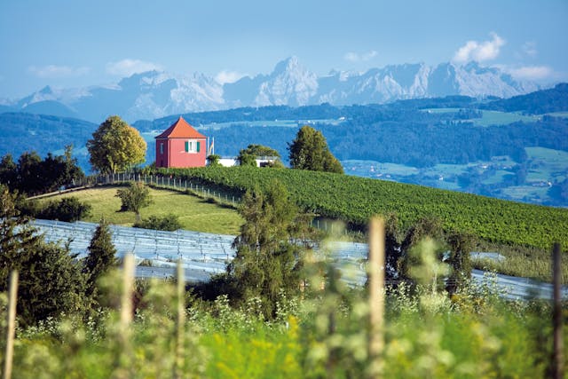 Bodensee zwiterse bergen