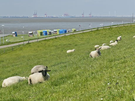 Knaus Tossens