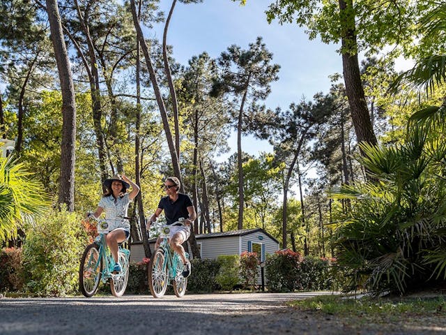 Camping L'Orée du Bois