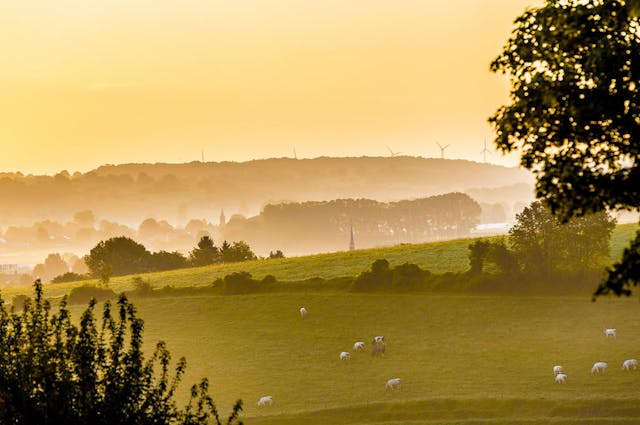 Limburg