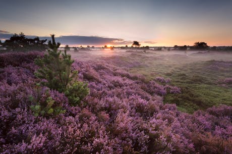 Drenthe 