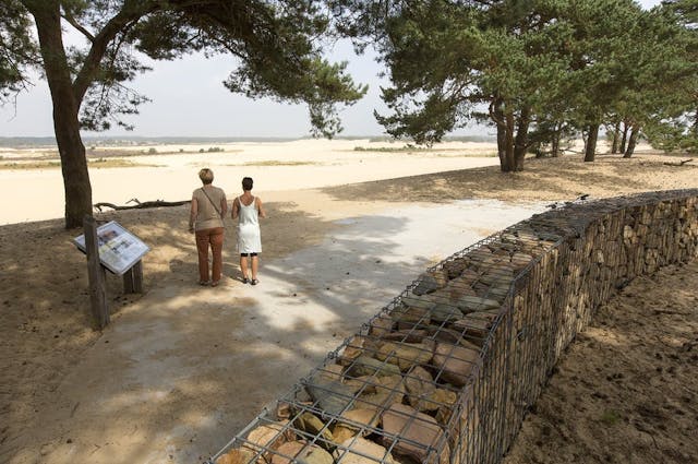 Brabant foto Duinhoeve