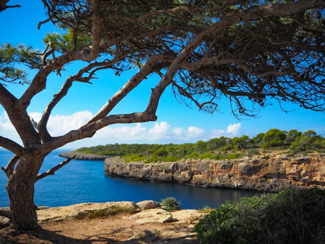 Spanje - Mallorca - Sant Jordi baai