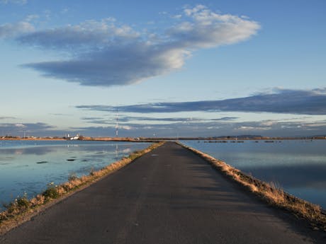 Spanje - rijstvelden omgeving Valencia