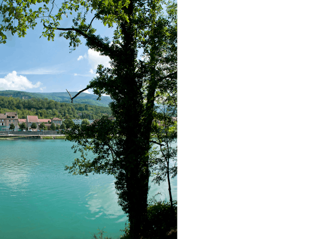 Safran - ai1410---C.Martelet- fietsen