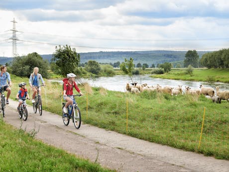 Weserradweg familie fiets