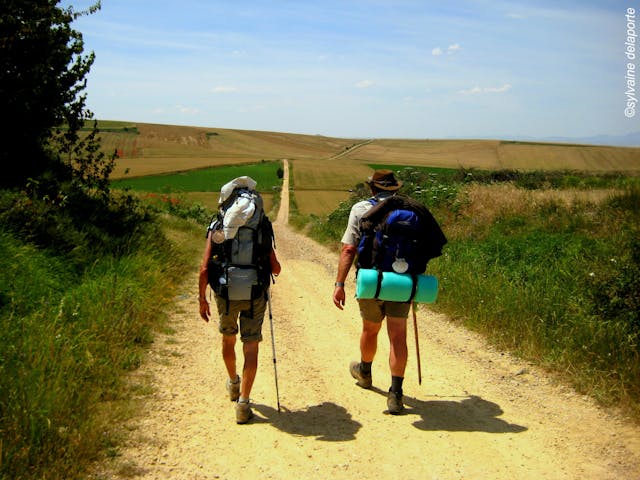 Camino de Santiago