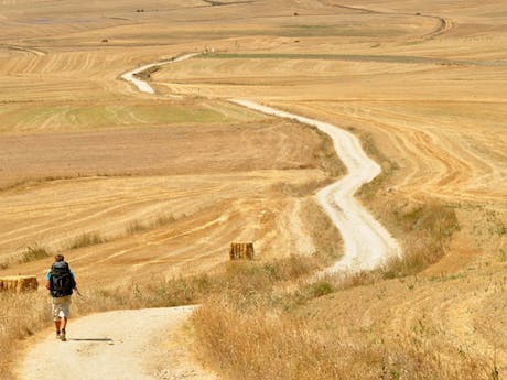 Camino de Santiago
