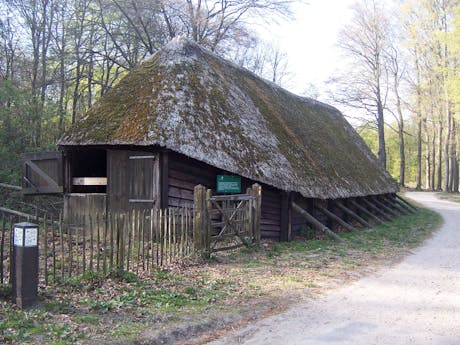 Veluwe Nederland schaapskooi