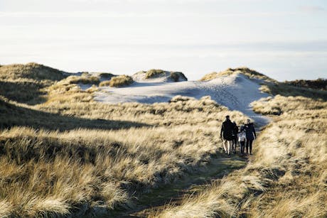 West-Jutland-Hvide-Sande-Family-Walking-Dunes