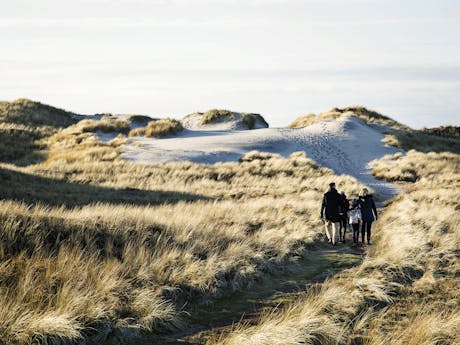 West-Jutland-Hvide-Sande-Family-Walking-Dunes