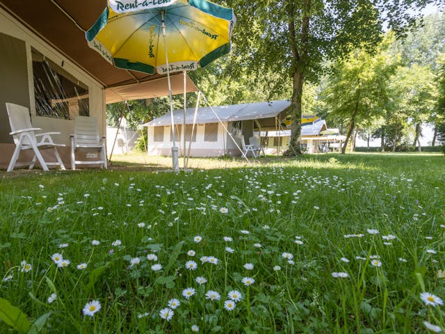 Camping Scherpenhof 