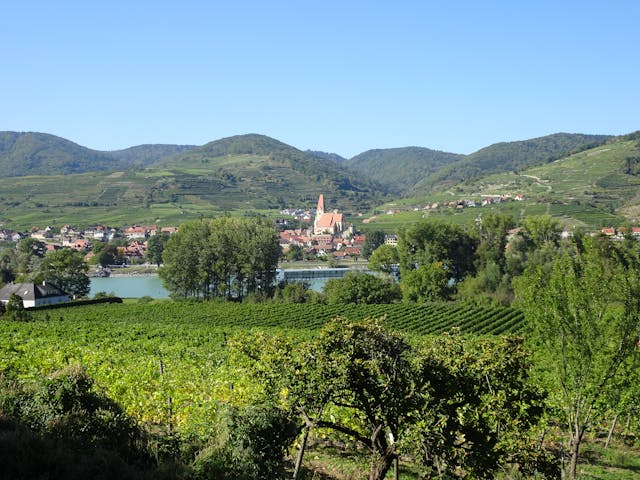 Wachau Spitz Blik op Donau