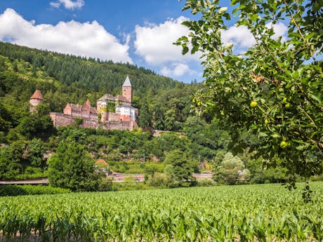 Neckarradweg