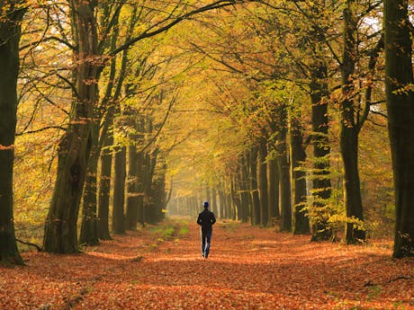 Wandelen herfst