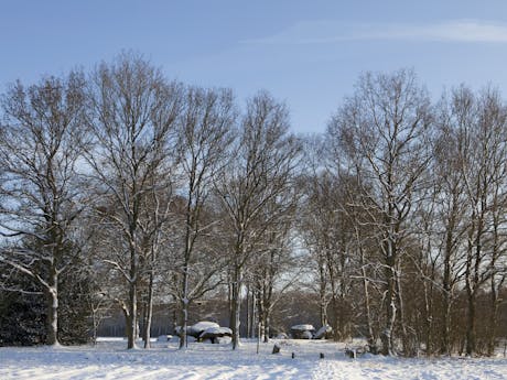 Drenthe winter
