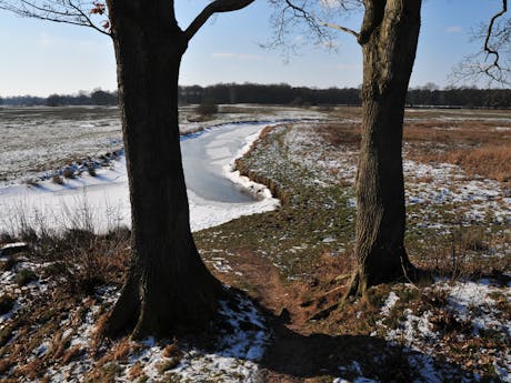 Drenthe winter