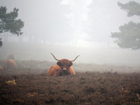 Drenthe