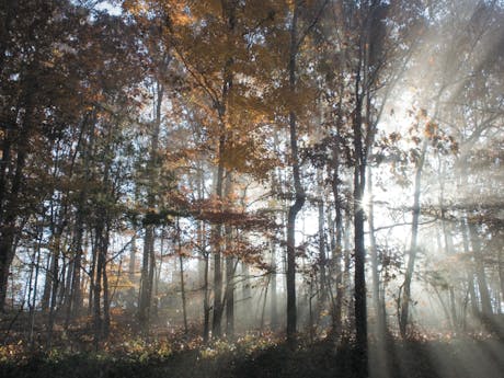 Drenthe herfst